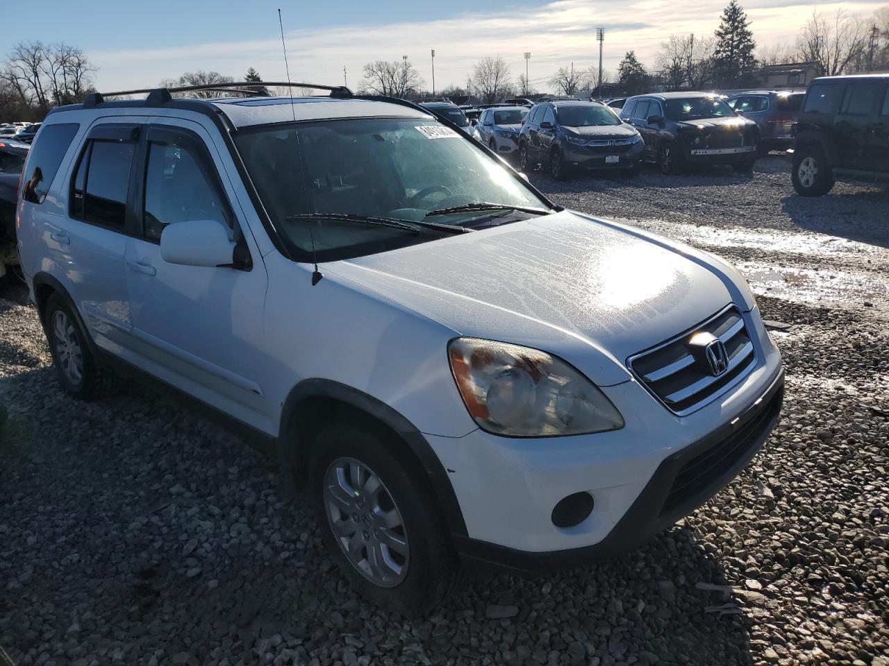 Lot #3027010787 2005 HONDA CR-V SE