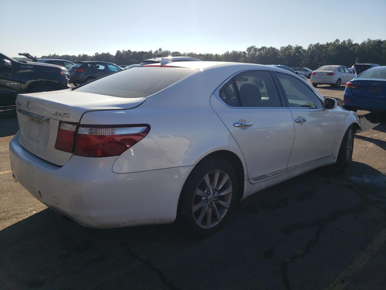 Lot #3033271810 2009 LEXUS LS 460