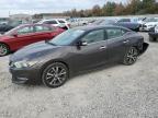 2016 NISSAN MAXIMA 3.5 - 1N4AA6AP0GC903070