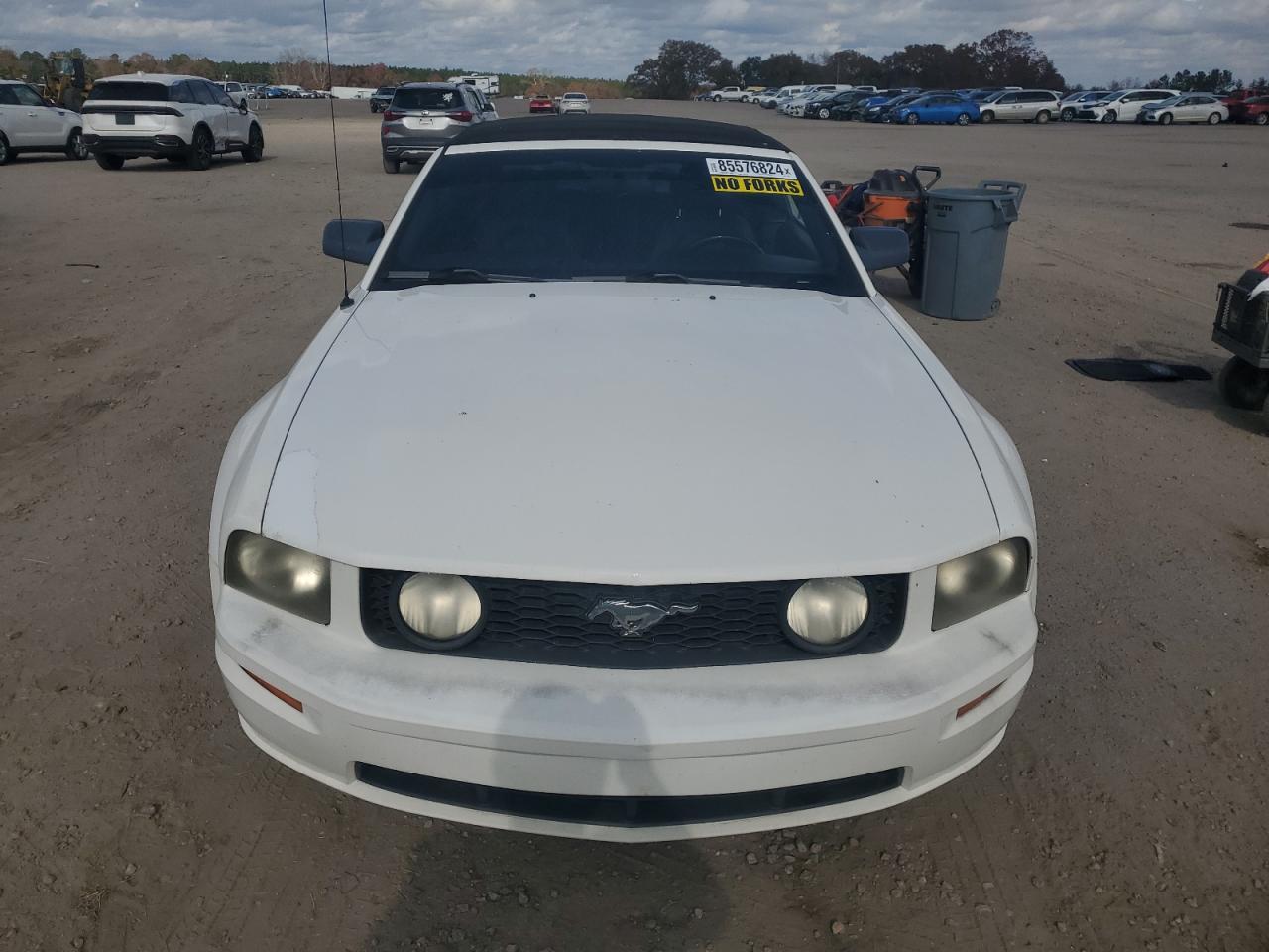 Lot #3028417243 2008 FORD MUSTANG GT