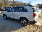 Lot #3025075193 2011 KIA SORENTO EX