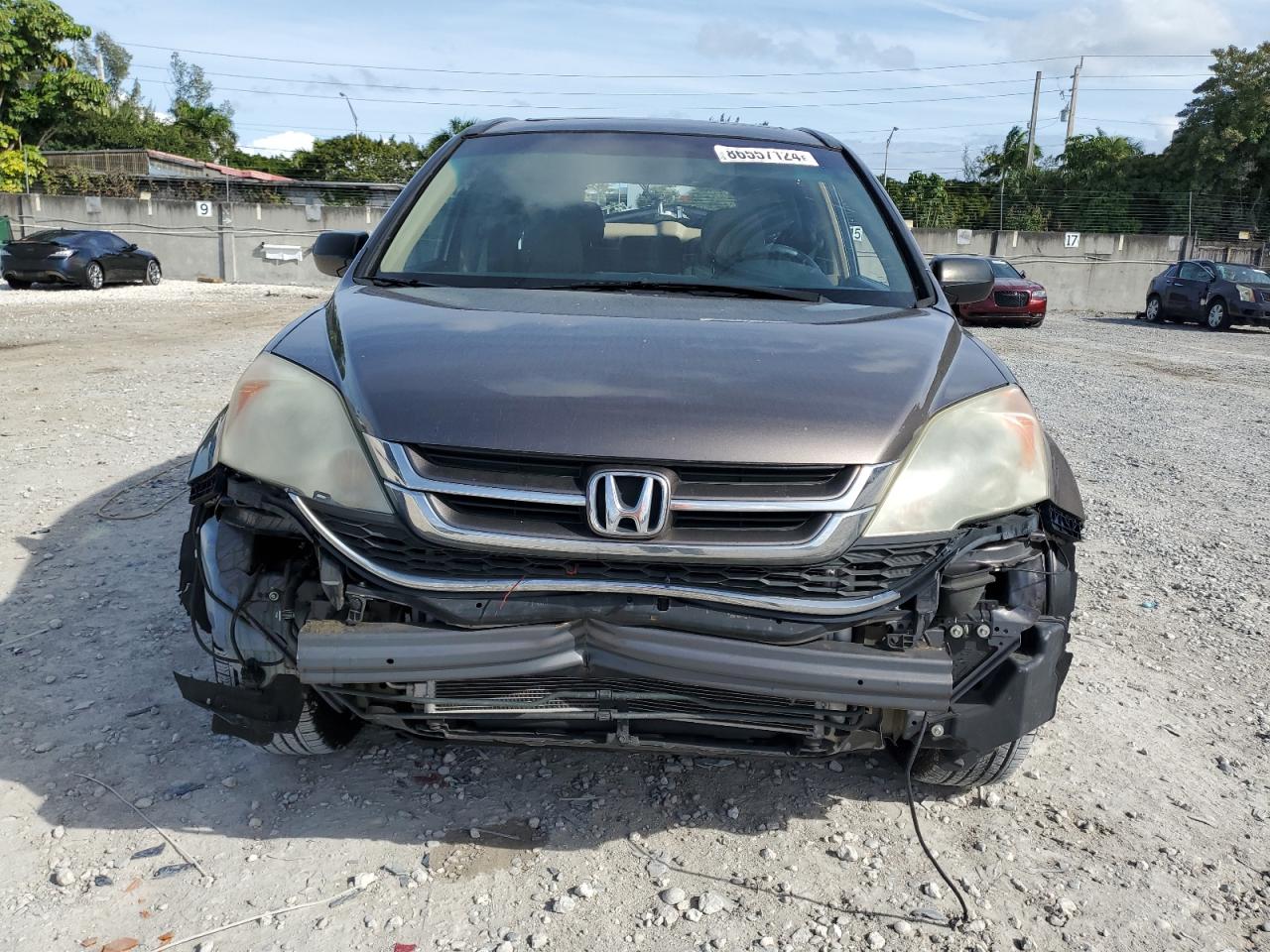 Lot #3044398741 2010 HONDA CR-V EX