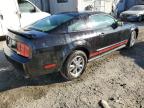 Lot #3024565631 2005 FORD MUSTANG