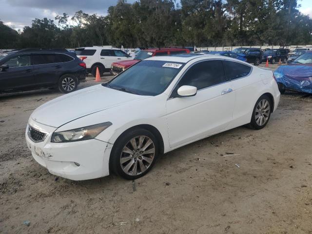 2009 HONDA ACCORD EXL #3044680238