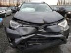 Lot #3033466124 2016 TOYOTA RAV4 LE