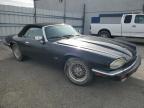 Lot #3044914027 1993 JAGUAR XJS