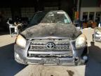 Lot #3025063172 2010 TOYOTA RAV4 SPORT