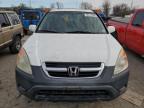 Lot #3025715305 2003 HONDA CR-V EX