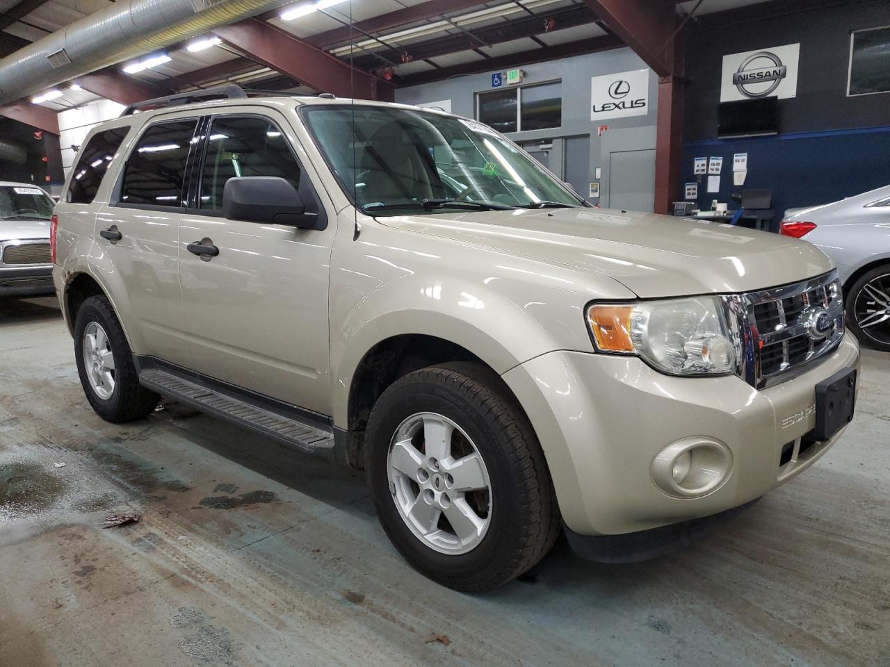 Lot #3028654280 2010 FORD ESCAPE XLT