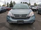 Lot #3039942553 2011 HONDA CR-V SE