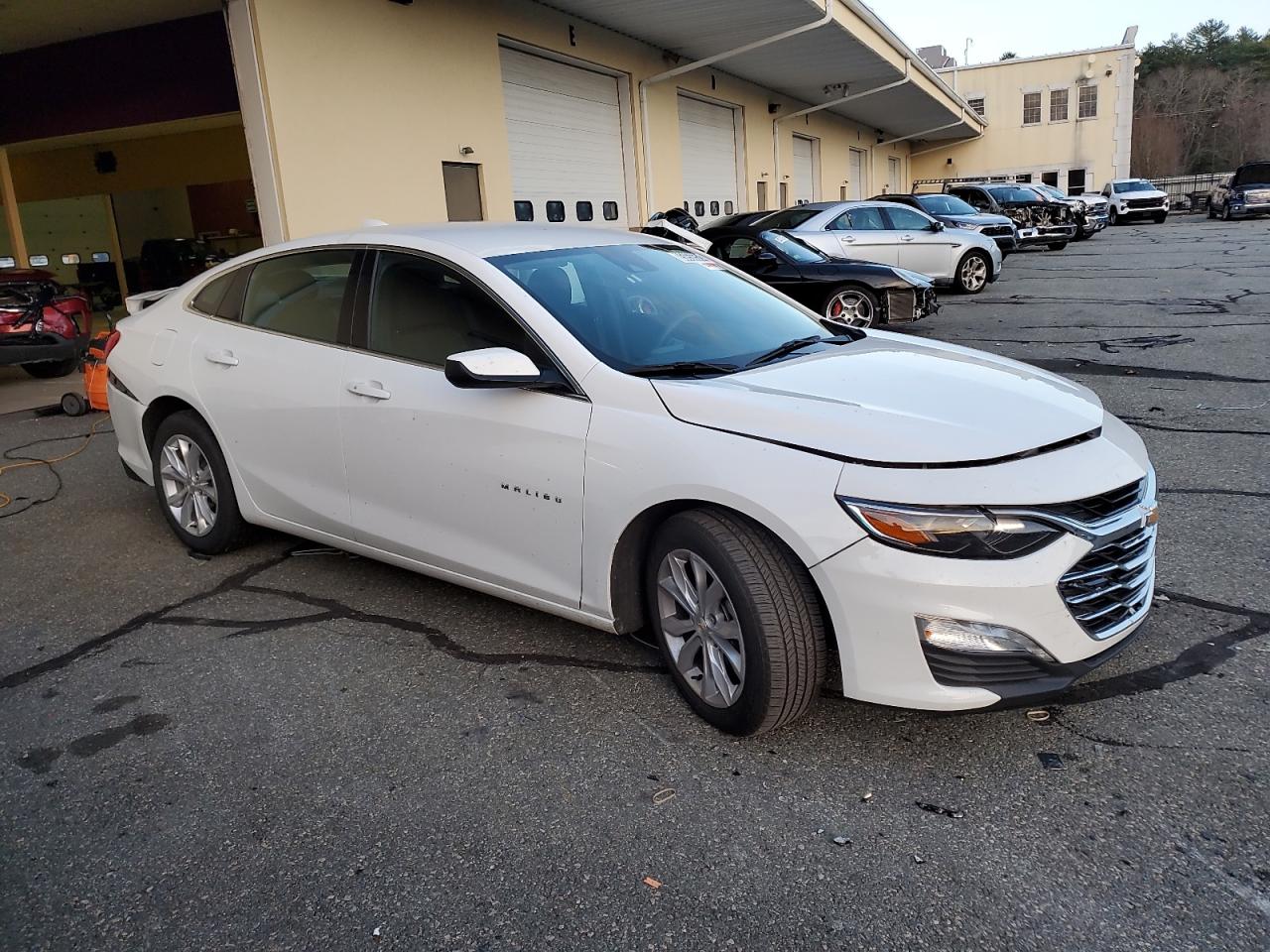 Lot #3034416095 2023 CHEVROLET MALIBU LT