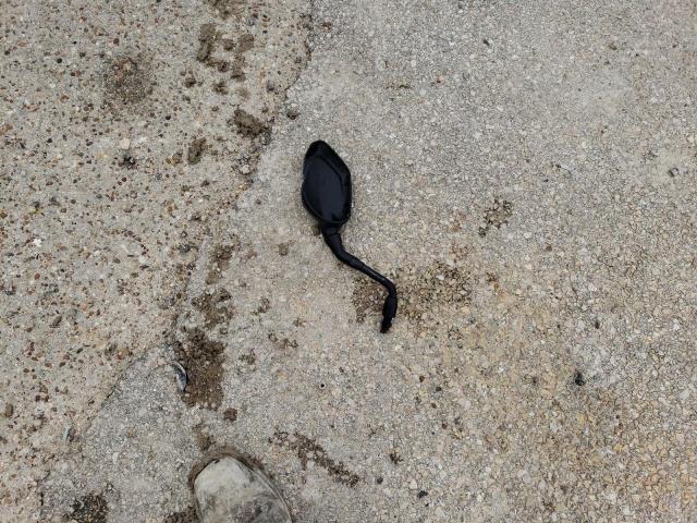 2024 TRIUMPH MOTORCYCLE TRIDENT 66 SMTL10UL5RTBT3318