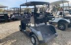 Lot #3024570691 2019 GOLF CART