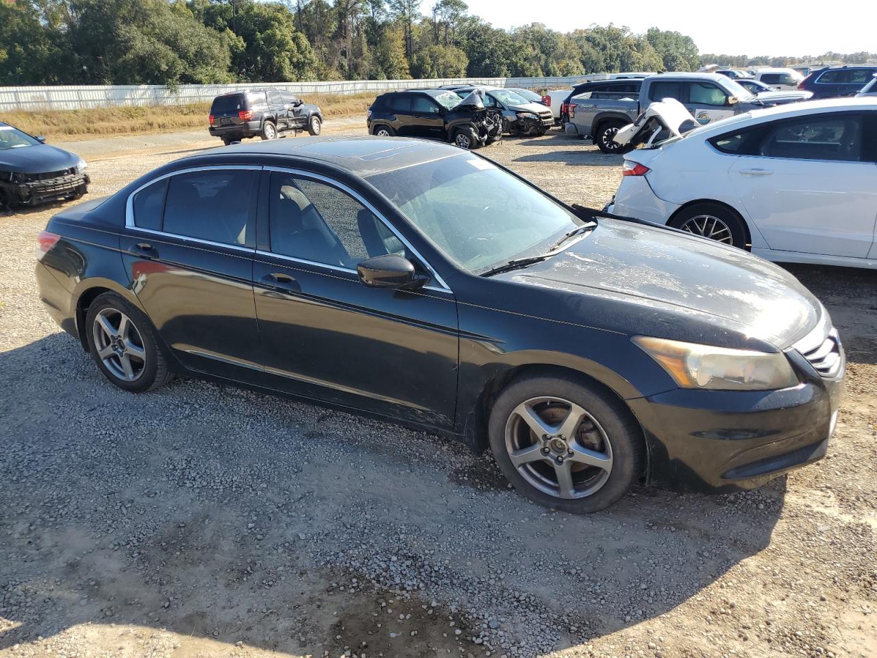 Lot #3033137986 2011 HONDA ACCORD EXL