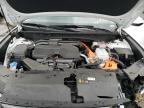 Lot #3030863512 2024 HYUNDAI TUCSON SEL