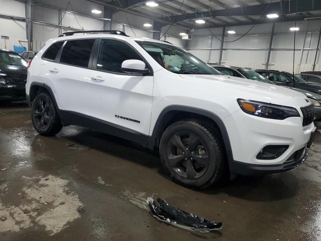 2019 JEEP CHEROKEE L - 1C4PJMLX1KD299327