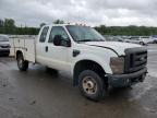 Lot #3025046217 2009 FORD F350 SUPER