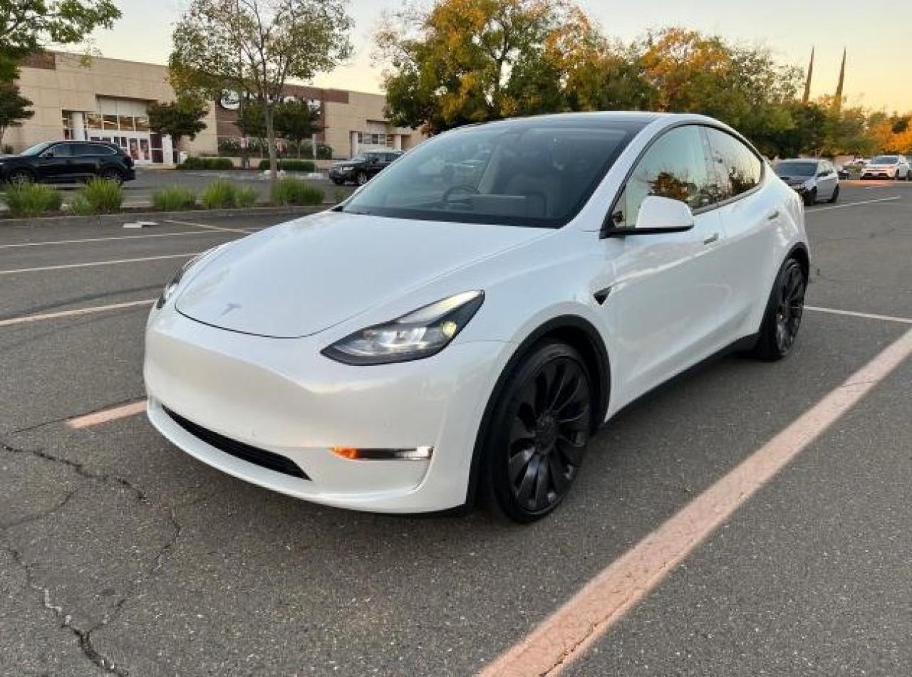 Lot #3024267862 2022 TESLA MODEL Y