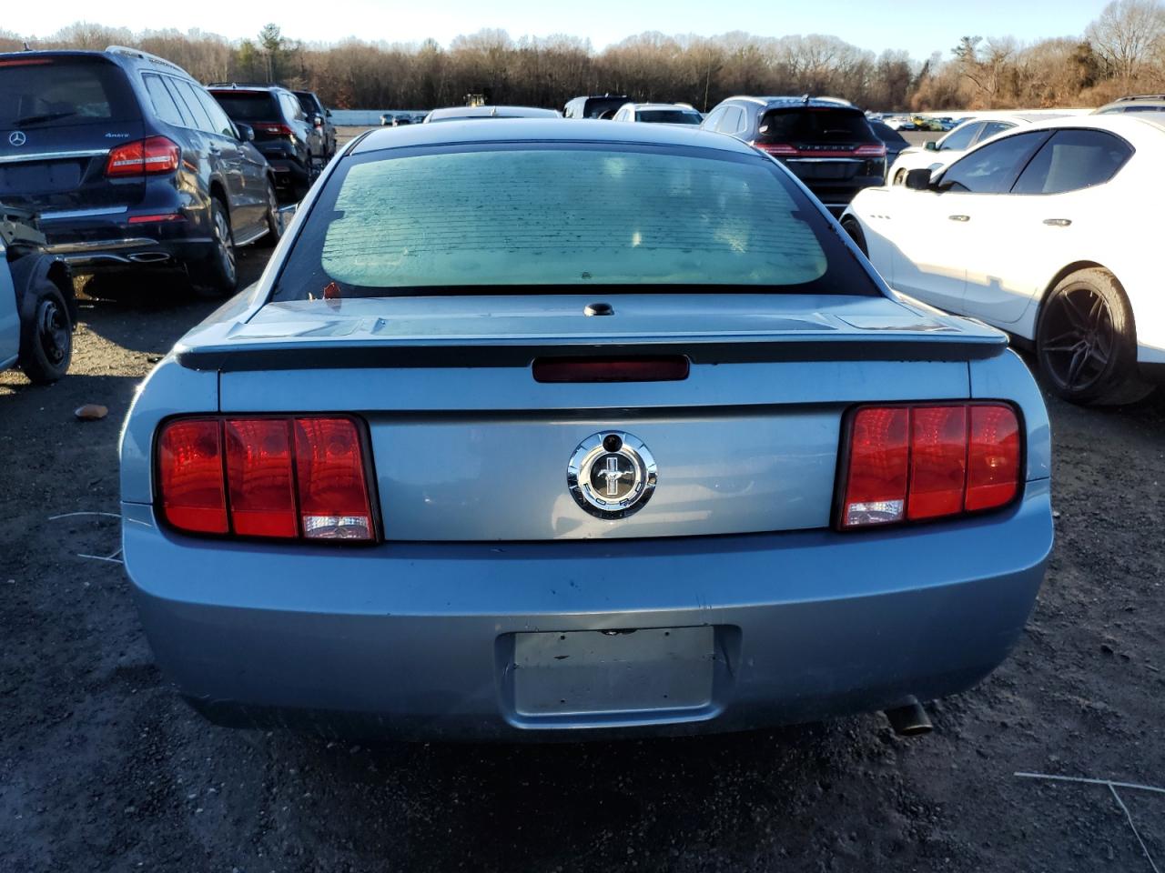 Lot #3029503416 2007 FORD MUSTANG