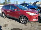 Lot #3028411806 2013 FORD ESCAPE SEL