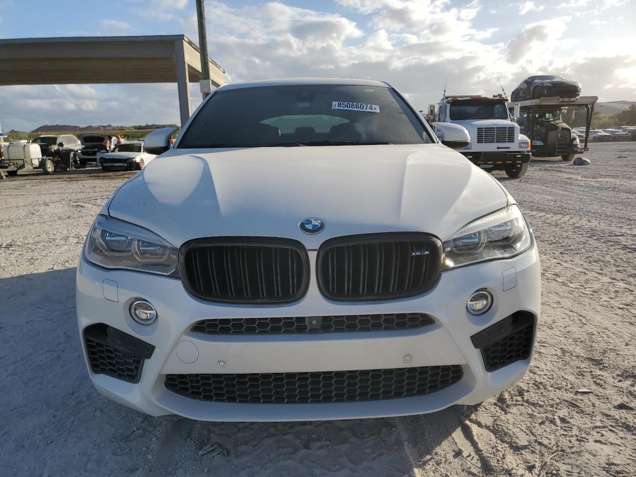 Lot #3029398689 2016 BMW X6 M