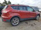 Lot #3025838306 2015 FORD ESCAPE SE