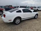 Lot #3032090025 2005 FORD MUSTANG