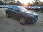 Lot #3023733897 2022 TOYOTA RAV4 XLE