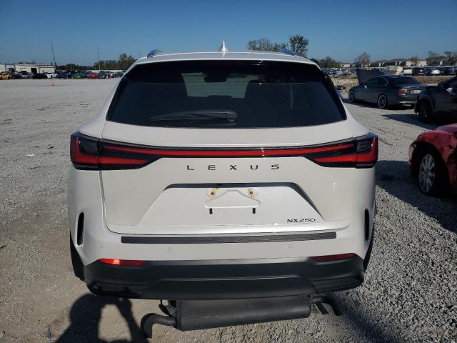 2025 LEXUS NX 250 PRE 2T2GDCAZ1SC016522