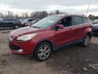 Lot #3024030272 2014 FORD ESCAPE TIT