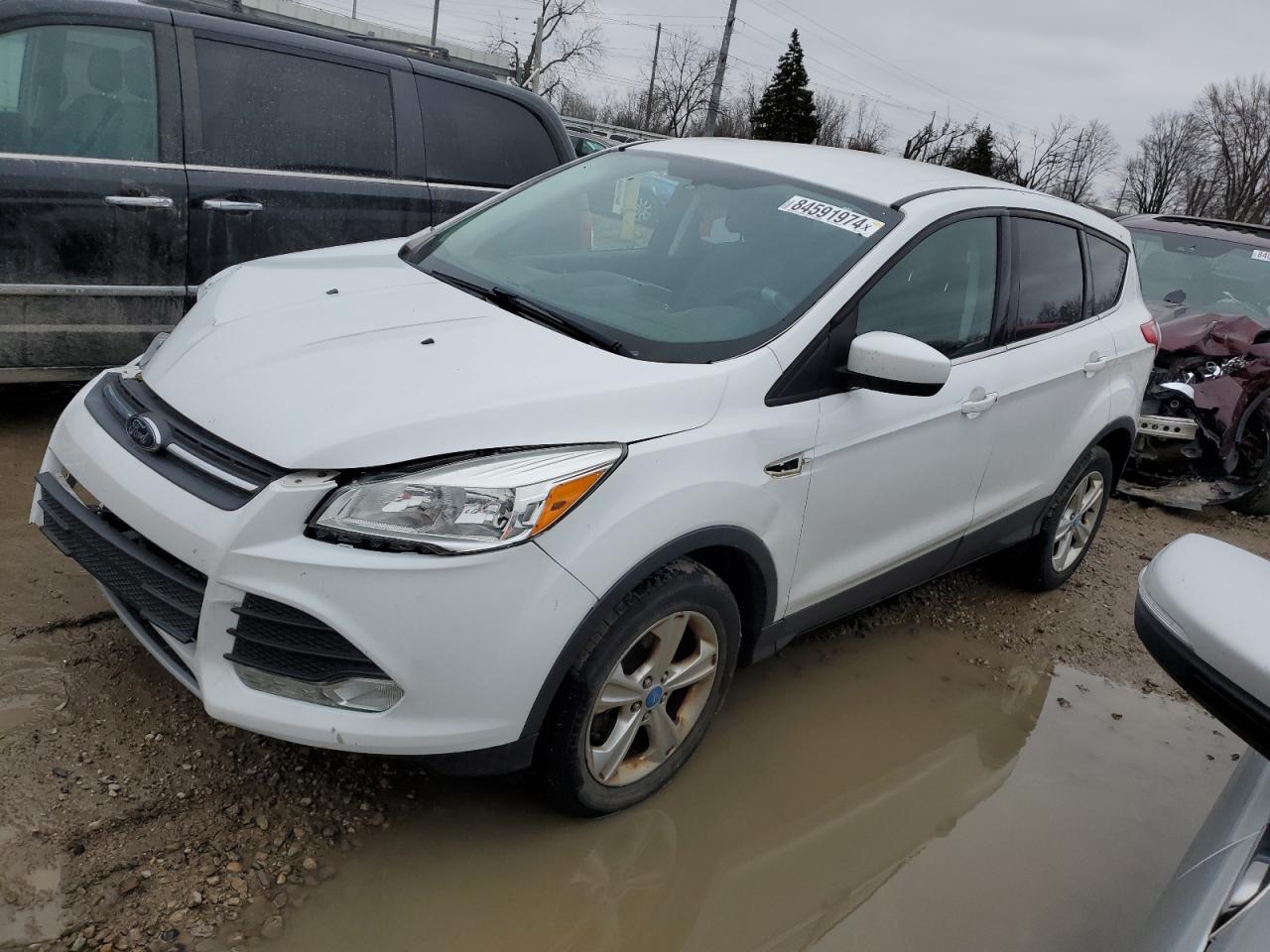 Lot #3050374917 2013 FORD ESCAPE SE