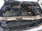 Lot #3050786111 2004 DODGE DAKOTA QUA