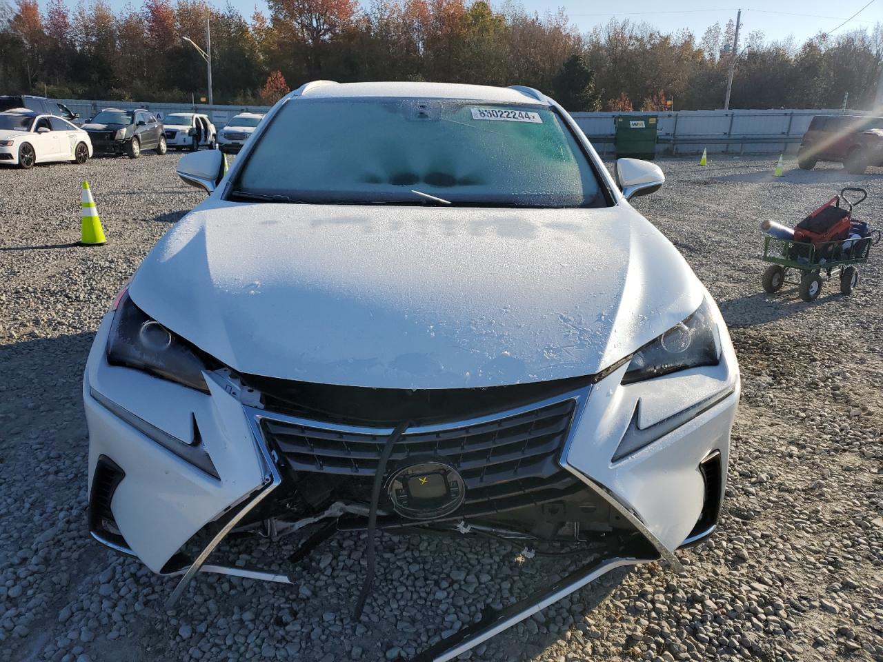 Lot #3034493787 2021 LEXUS NX 300 BAS