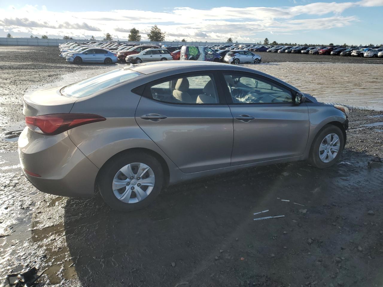 Lot #3028354810 2016 HYUNDAI ELANTRA SE