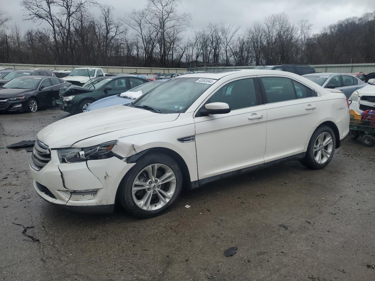 Lot #3030637102 2013 FORD TAURUS SEL