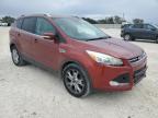 Lot #3024624690 2014 FORD ESCAPE TIT