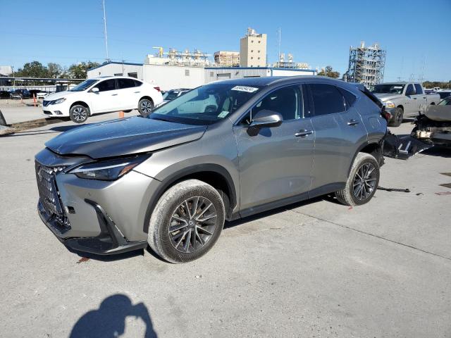 LEXUS NX 350 PRE 2024 gray  gas 2T2GGCEZ4RC046464 photo #1