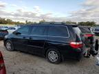 Lot #3030520460 2007 HONDA ODYSSEY EX