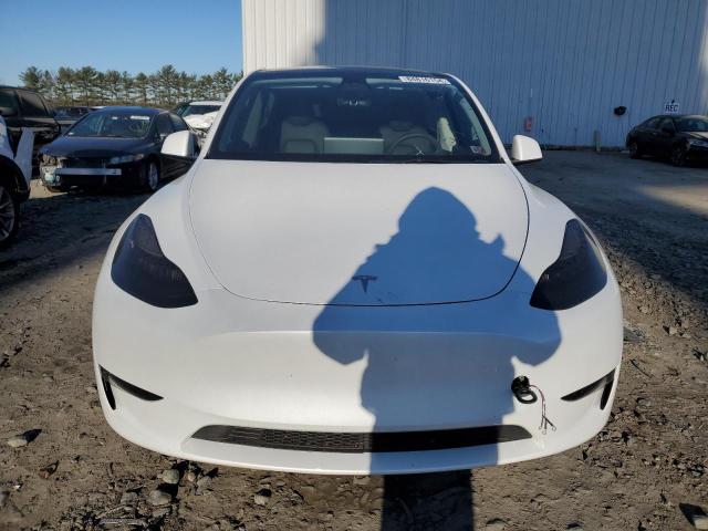 2023 TESLA MODEL Y 7SAYGDEE0PA123559