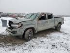2023 TOYOTA TACOMA DOU - 3TMDZ5BN9PM156395