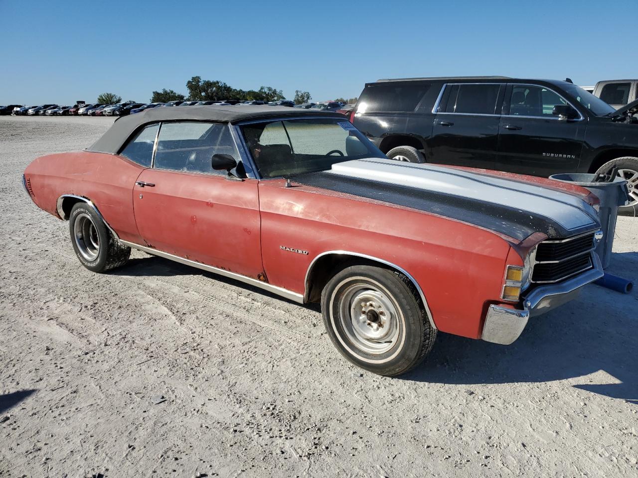 Lot #3023856828 1971 CHEVROLET CHEVELLE M