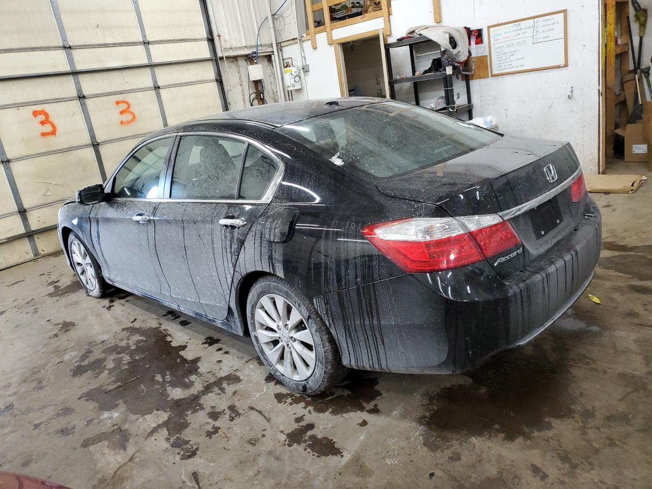 Lot #3048323728 2014 HONDA ACCORD EXL