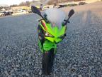 Lot #3049654342 2024 KAWASAKI EX500 A