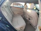 Lot #3024897357 2006 TOYOTA AVALON XL