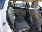 Lot #3023905280 2014 FORD ESCAPE SE