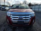 Lot #3024653659 2014 FORD EDGE LIMIT