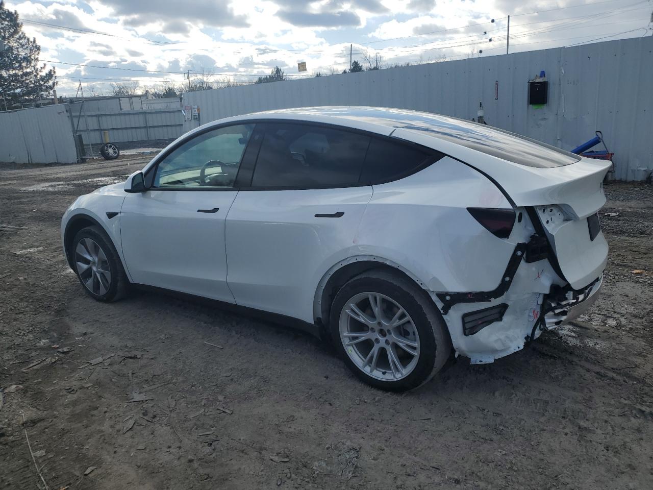 Lot #3037009721 2023 TESLA MODEL Y