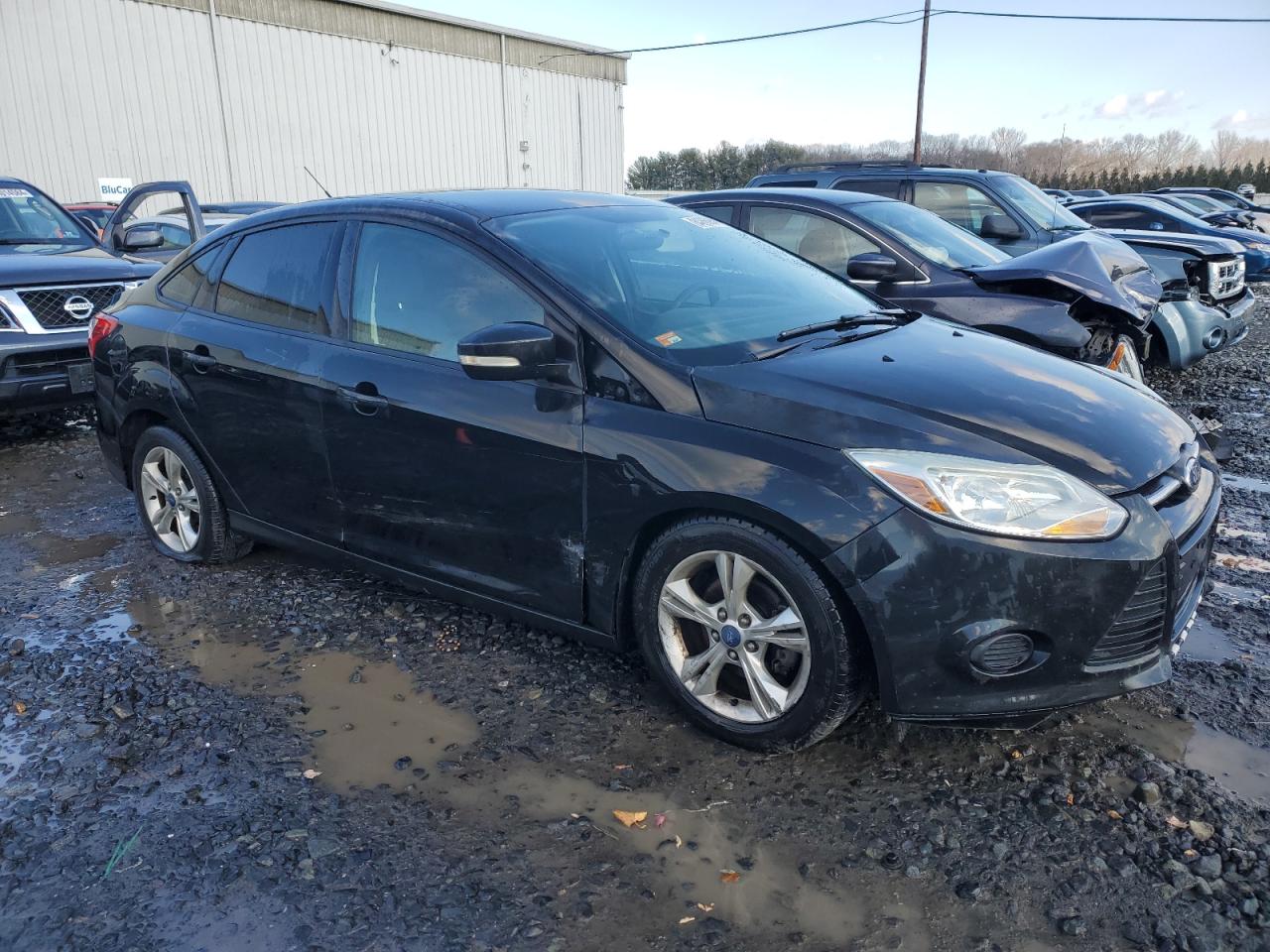 Lot #3040808776 2014 FORD FOCUS SE