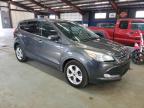 Lot #3037915996 2016 FORD ESCAPE SE