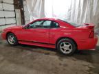 Lot #3027096784 2004 FORD MUSTANG